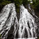 IMG_4524.jpg