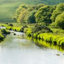 20080612-_DSC0125.jpg