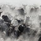 Sehnsucht Afrika Harscher 10 (2).jpg