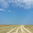 20130802_094742.JPG