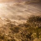 jaek_0864_suedafrika-2017.jpg